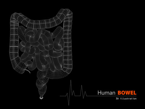 3d Illustration of Bowels abstract scientific background