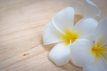 Naklejka na ściany i meble frangipani flower on a wooden background..