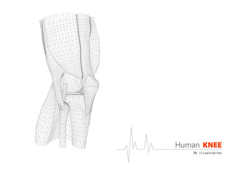 3d Illustration of Human knee abstract scientific background