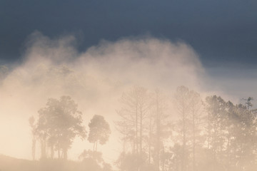 High mountain and fog in the morning