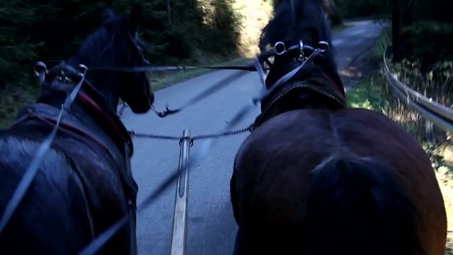 Two horse open carriage moving on a mountain road
