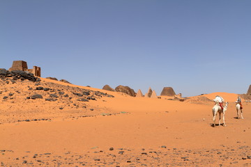 Karawane in der Sahara vom Sudan bei Meroe  