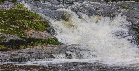 Autumn stream in the forest