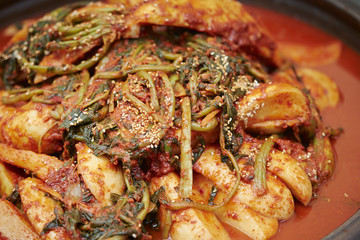 Kimchi