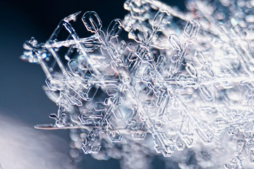 Real snowflake macro - ultra shallow depth of field