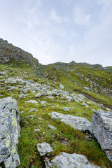 carpathian mountains in summer