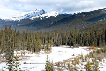 冬のカナディアン・ロッキー　ボウ川沿いの雄大な眺め