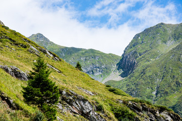 Fototapeta na wymiar carpathian mountains in summer