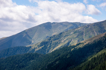 carpathian mountains in summer
