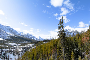 冬のカナディアン・ロッキー　クートニー国立公園の山並み