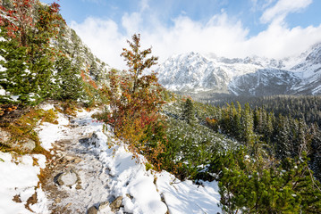 carpathian mountains in winter snow