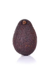 Avocado isolated on white background.