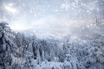 Fototapeta na wymiar Fantastic winter landscape