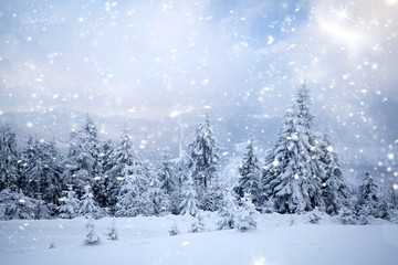 Fantastic winter landscape