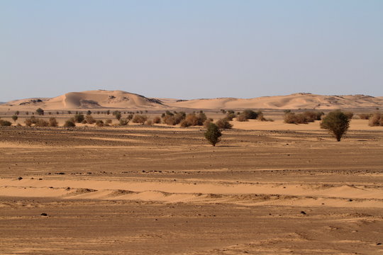 Die W&uuml;ste Sahara im Sudan in Afrika