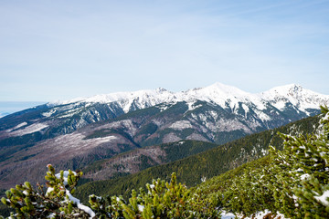 Fototapeta premium carpathian mountains in winter snow