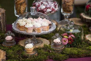 Wedding cakes desserts and sweets in the candy bar. Sweets at th