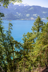 Fototapeta na wymiar Lake Brienz, Switzerland