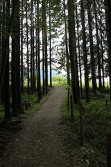 Jachenau am Walchensee