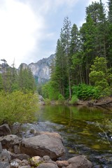 Fototapeta na wymiar Scenery in Yosemite National Park, California.