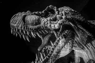 Tyrannosaurus rex dinosaur tusks, long, sharp teeth