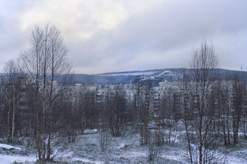 View of the winter trees, house and mountain
