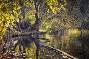 View of the Friendship Island of Potsdam, in the golden autumn