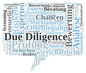 Due Diligence word cloud