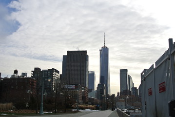 christmas tree in public library of new york 