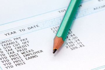 Pencil on the statement of payroll details