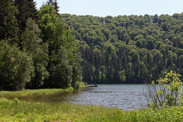 Naklejka premium Mountain lake surrounded by forest ress