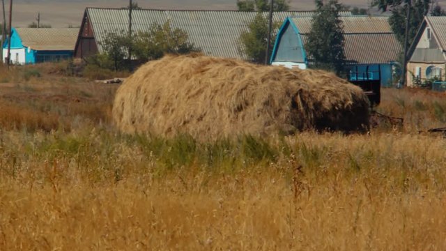 haystack folded after harvesting on the farm