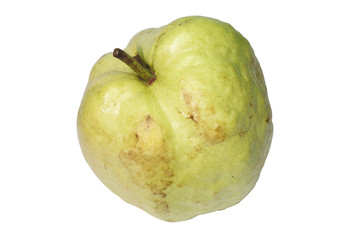 Closeup of light green Guava fruit on white background