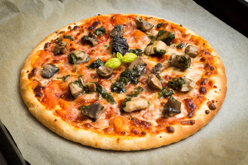 Pizza ai funghi