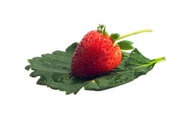 Single Red Strawberry on strawberry leaf