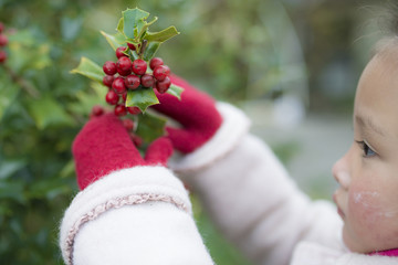 セイヨウヒイラギを見る女の子