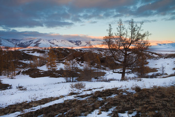 dramatic sunset colorful sky with illuminated red pink purple clouds Kurai Altai Siberia Russia