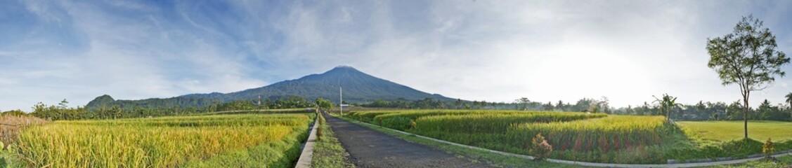 Panorama of mt. Slamet in central java, Indonesia, with vast rice field, beautiful sky and road straight to horizon