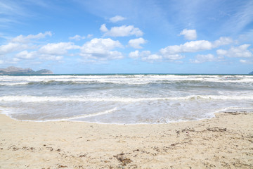 sand beach on an ocean on a sunny day with clouds in the sky
