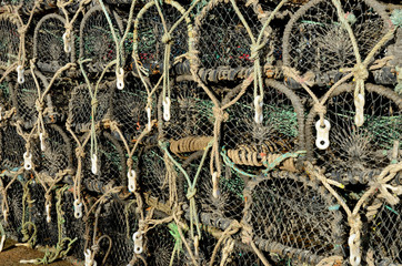 cage crabs