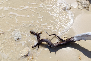 tree roots at beach at Bulone le island, Satun province, Thailan