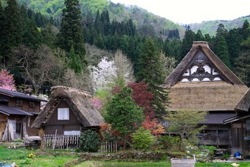 白川郷