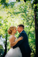 Fototapeta premium couple bride and groom on the background of the park's trees