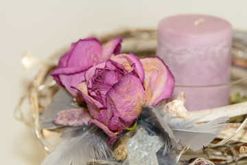 Hintergrund Dekoration Rose