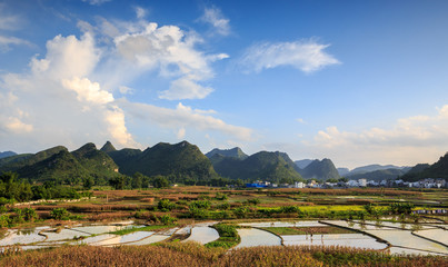 Rice Farm Land Outside The Village