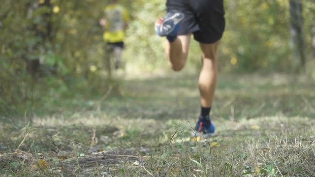 People running cross country in autumn forest. Jogging motivation in green park beautiful inspirational landscape. Run a marathon through the woods. Slow Motion.