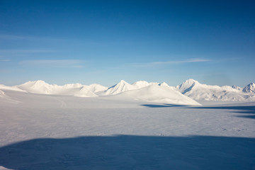 W pustce Arktyki