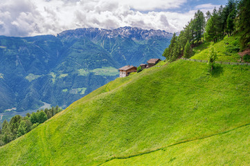 Fototapeta premium Vinschgau
