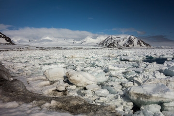 Fototapeta na wymiar Arktyka wiosną