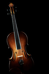 Obraz na płótnie Canvas Violin Musical instruments isolated